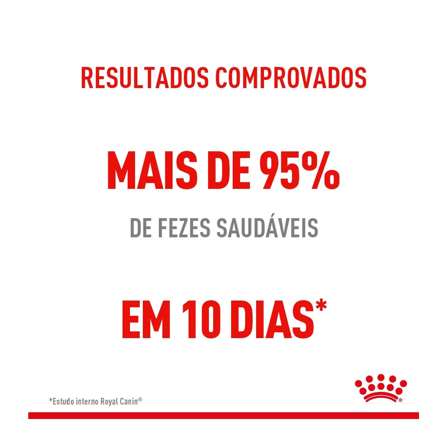 Ração Royal Canin Cuidado Digestivo para Gatos Adultos